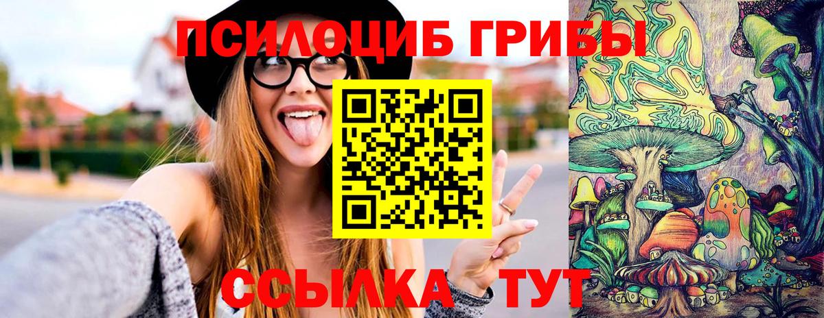 Галлюциногенные грибы Psilocybe Нижнекамск