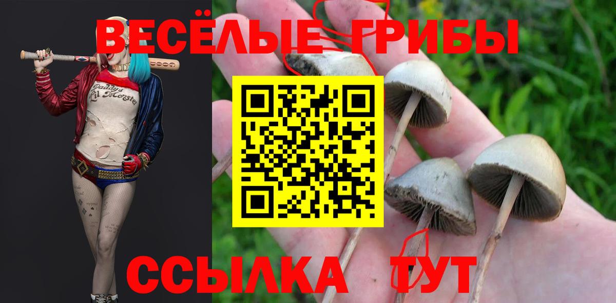 Псилоцибиновые грибы Magic Shrooms  Вход с VPN  Нижнекамск 